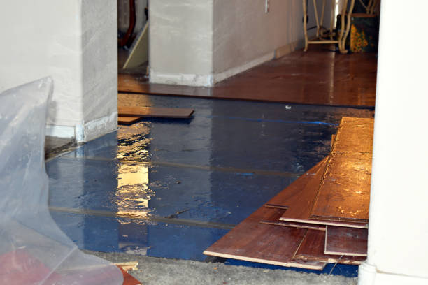 Professional Flood Cleanup technician working in Climax, NY